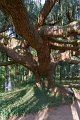 0078Arboretum Vallee aux loups